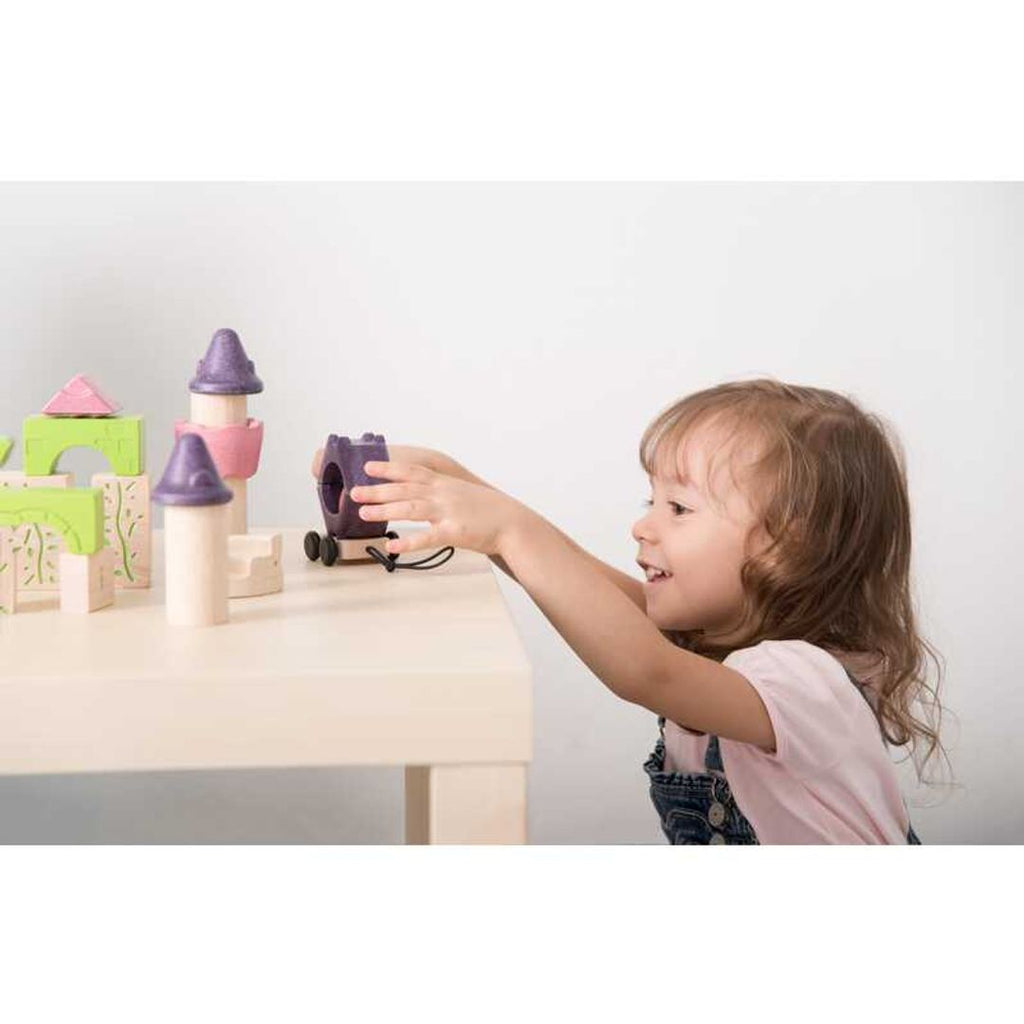 Plan Toys Fairy Tale Blocks