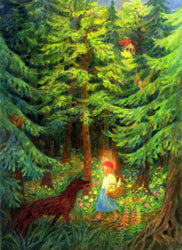 Fairytale Postcard Set - Illustrated by Gabriela de Carvalho